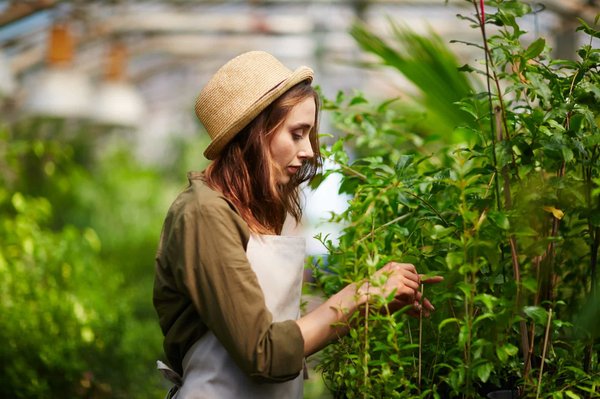 How to Create a Dual-Purpose Mudroom That Also Serves as a Greenhouse?